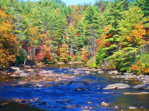 Things To Do NORTH GEORGIA RIVER AND LAKES